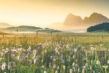 恒大足球比分直播-恒大足球比分直播，绿茵烽火中的实时脉动