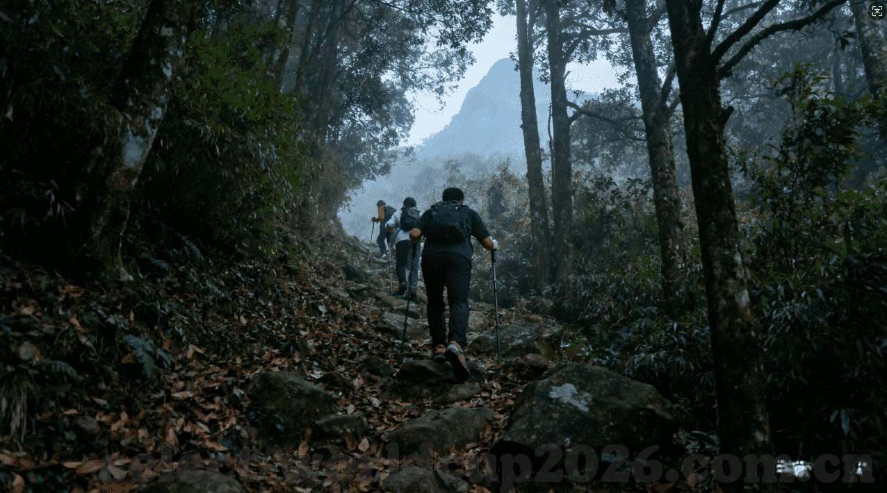乐鱼体育官网登录入口-乐鱼体育官网登录体验，便捷与安全的双重享受